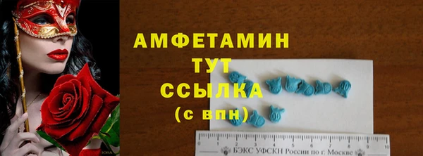 прущие грибы Балабаново