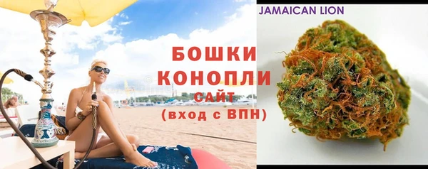 прущие грибы Балабаново